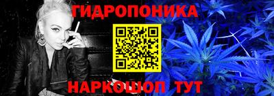 индика Аргун