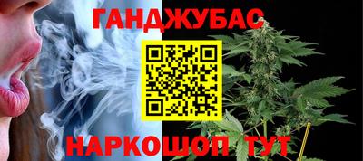 индика Аргун